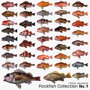 rockfish fish fbx