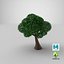 Cartoon Tree 4 3D