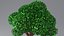 Cartoon Tree 4 3D