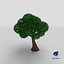 Cartoon Tree 4 3D