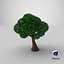 Cartoon Tree 4 3D