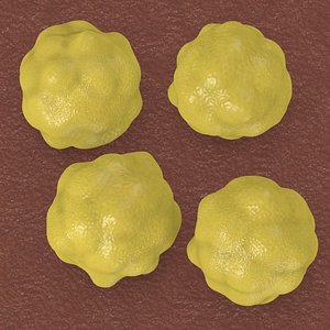 cholesterols