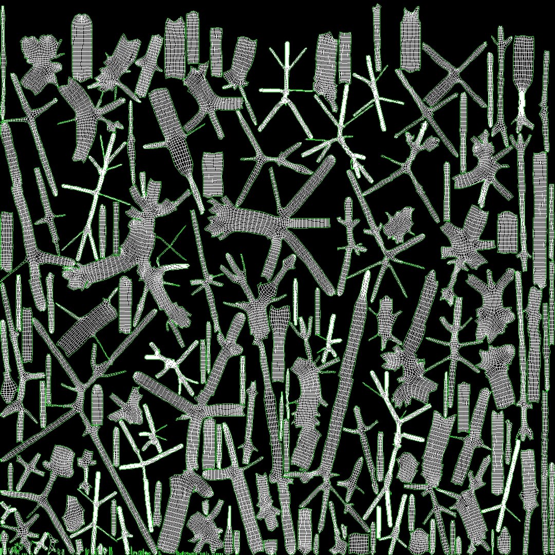 3D Brain https://p.turbosquid.com/ts-thumb/63/5FYR04/9q/brain_0041/jpg/1689866937/1920x1080/fit_q87/4d3df1151d247288dce98bfe25b4db9f6fa1d63d/brain_0041.jpg
