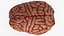 Brain