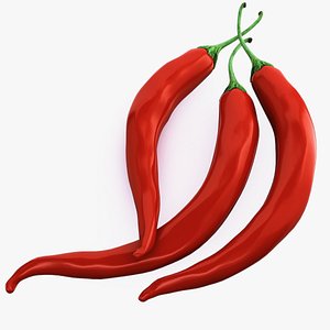 pepper chili 3d model