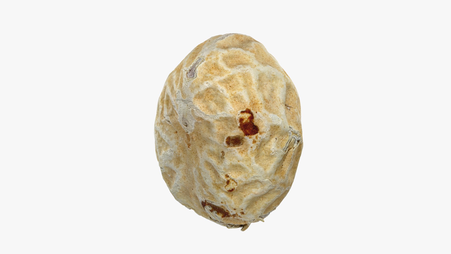 Single Peanut Shell 3D model https://p.turbosquid.com/ts-thumb/63/9IdLVC/1y/peanutshellsingle_0012/png/1767464586/1920x1080/fit_q87/cb63651ce0114d18d685b22f9f2813d403839a62/peanutshellsingle_0012.jpg