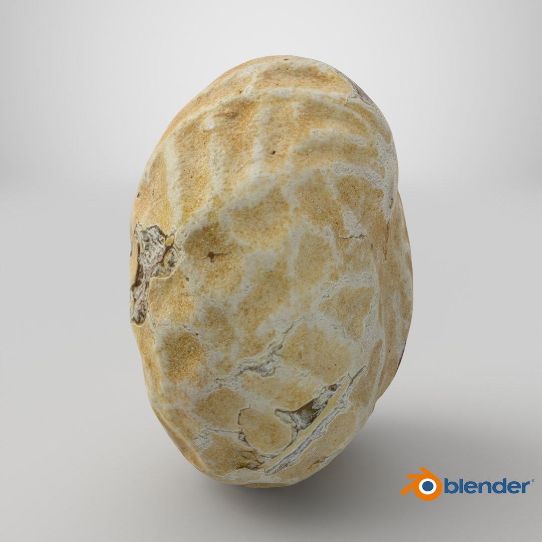 Single Peanut Shell 3D model https://p.turbosquid.com/ts-thumb/63/9IdLVC/Is/stemcell_blender_cycles_render/png/1767899360/1920x1080/fit_q87/cfd8fc982ebf5cb25e473df8f4d7b7b72a1db0db/stemcell_blender_cycles_render.jpg
