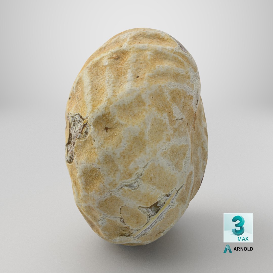 Single Peanut Shell 3D model https://p.turbosquid.com/ts-thumb/63/9IdLVC/Yx/stemcell_max_arnold_render/png/1767899372/1920x1080/fit_q87/15222f8eff2aa92a2cb21587296fe4a7ceea9962/stemcell_max_arnold_render.jpg