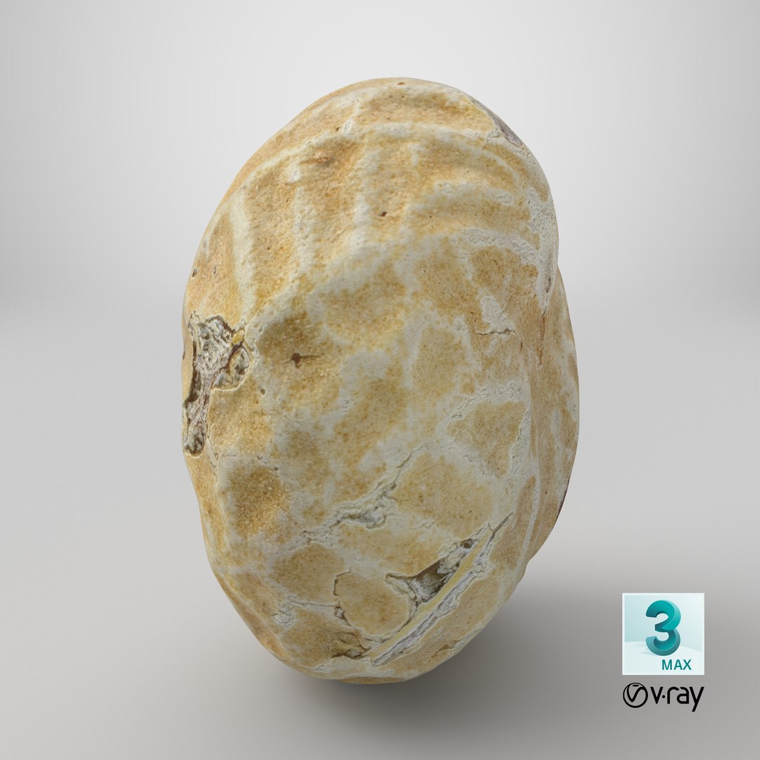 Single Peanut Shell 3D model https://p.turbosquid.com/ts-thumb/63/9IdLVC/aW/stemcell_max_vray_render/png/1767899370/1920x1080/fit_q87/2072f1e4b096c879a3924e84506cd15c9dd32206/stemcell_max_vray_render.jpg