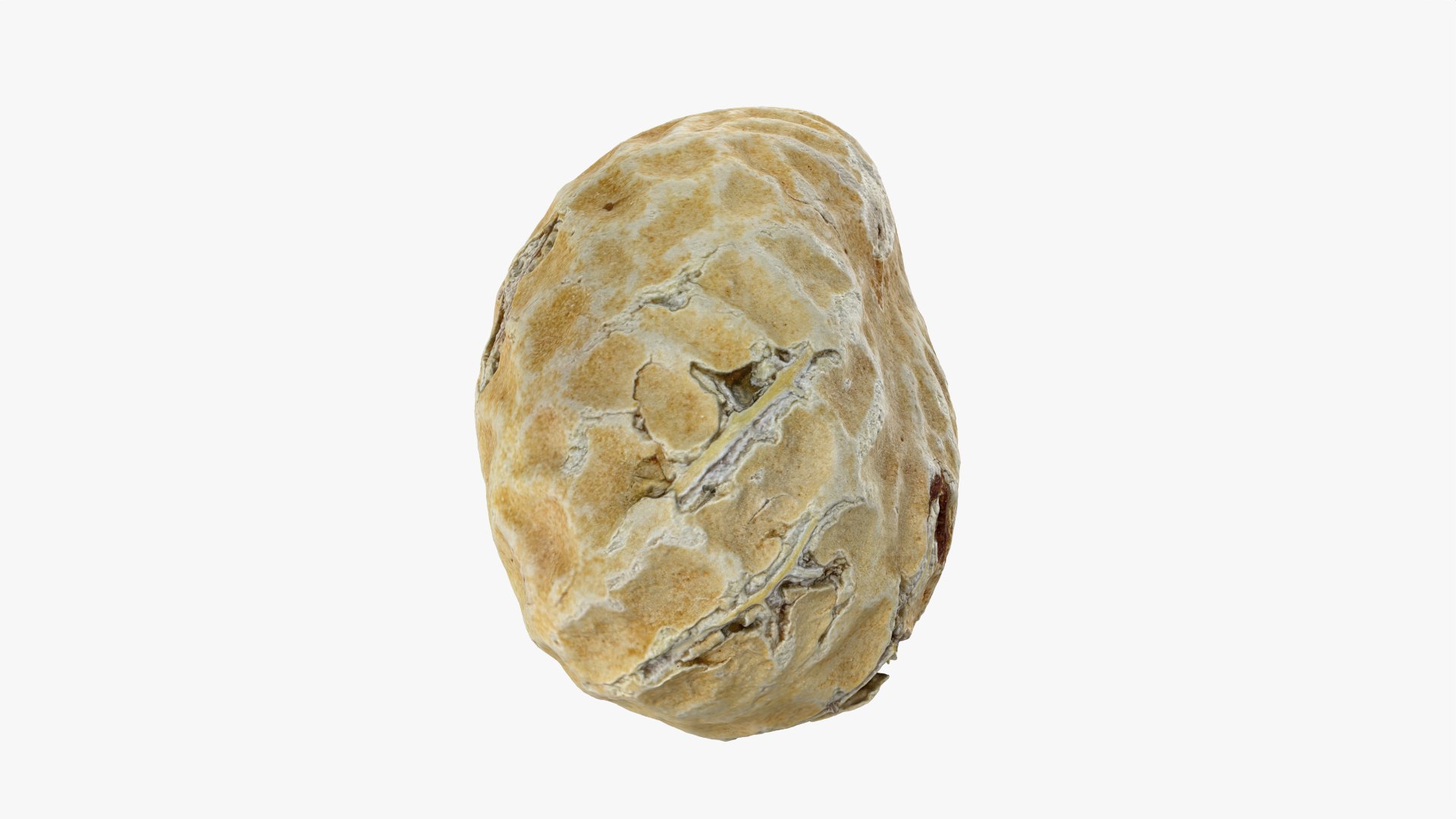 Single Peanut Shell 3D model https://p.turbosquid.com/ts-thumb/63/9IdLVC/lC/peanutshellsingle_0006/png/1767464564/1920x1080/fit_q87/60314ed107c07d80b3cbe929ebfba8985e84ac84/peanutshellsingle_0006.jpg