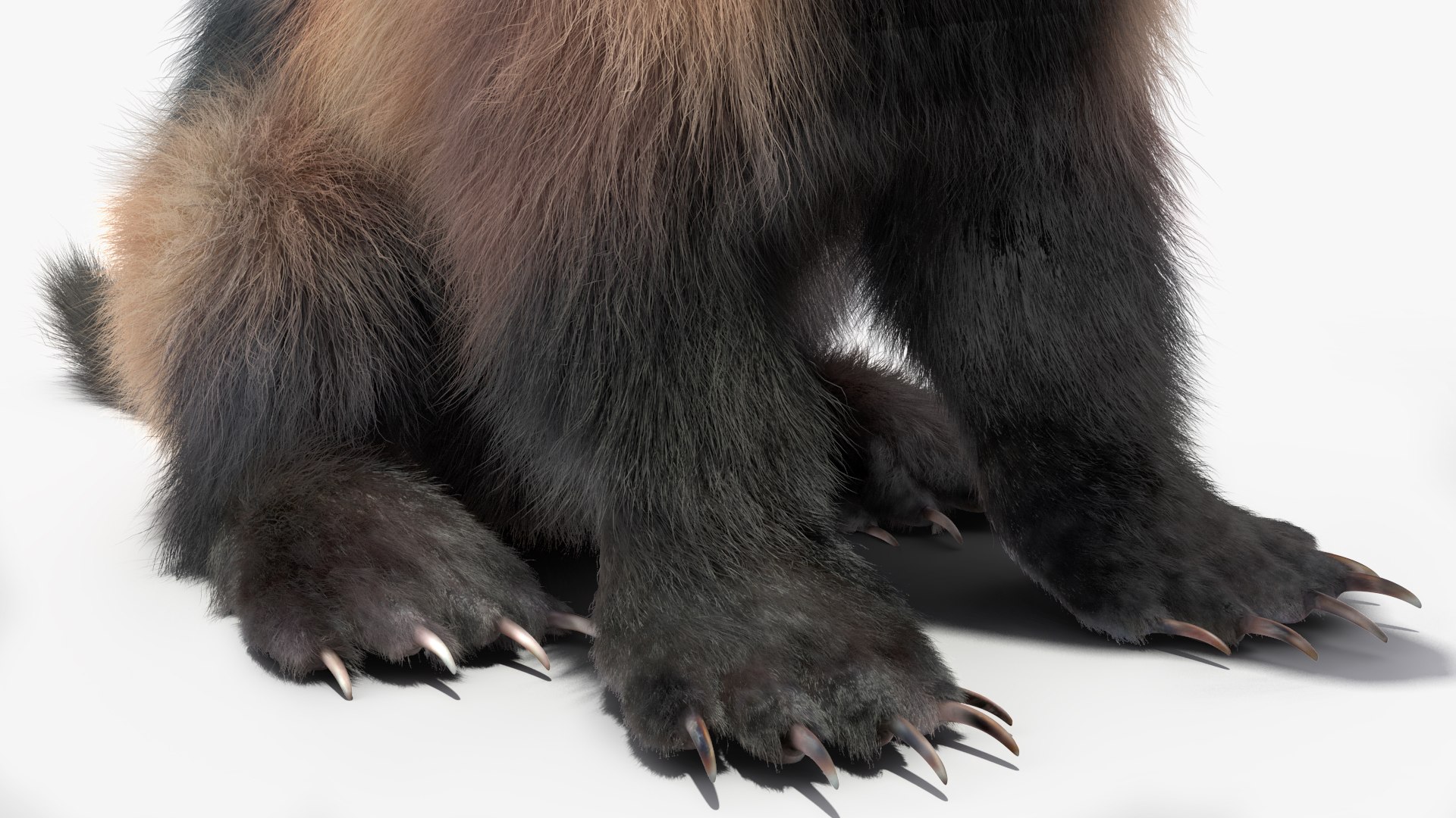 Wolverine Light Color Sitting Pose Fur 3D Model - TurboSquid 2158250