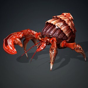 Crab-B1