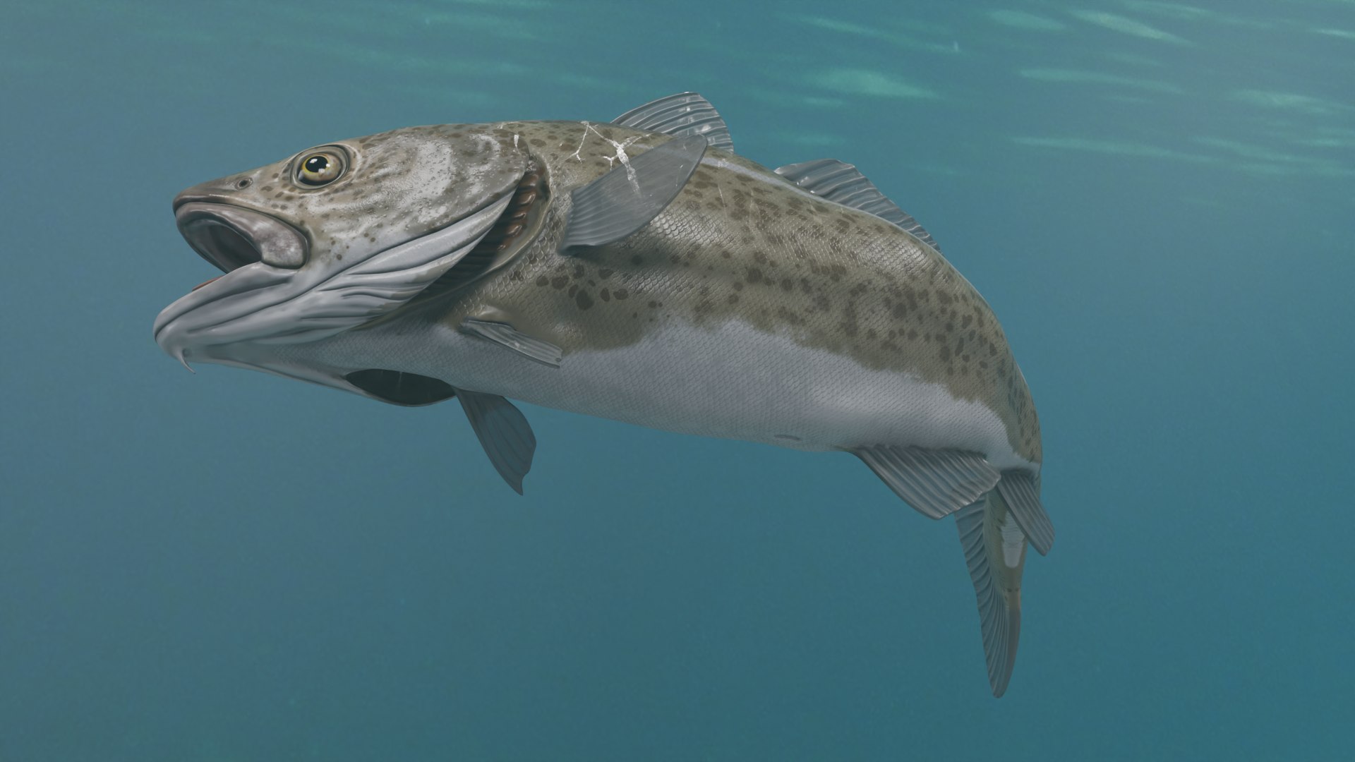 3D Cod Fish Rigged Model - TurboSquid 2535902