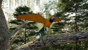 3D photorealistic parrot