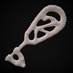 Brass Viking Key Print 3D model