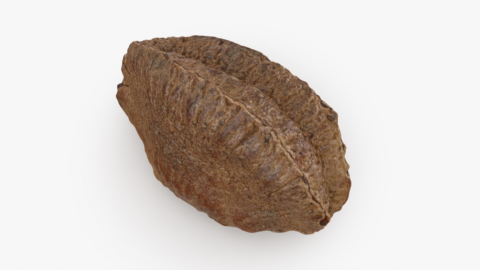 Brazil Nut in Shell 01 model https://p.turbosquid.com/ts-thumb/64/MnBO7q/Zi/brazilnutshell01_b0000/jpg/1726656939/1920x1080/fit_q87/0b9498cce00f0416cffd4a3472cda91d960fd53d/brazilnutshell01_b0000.jpg