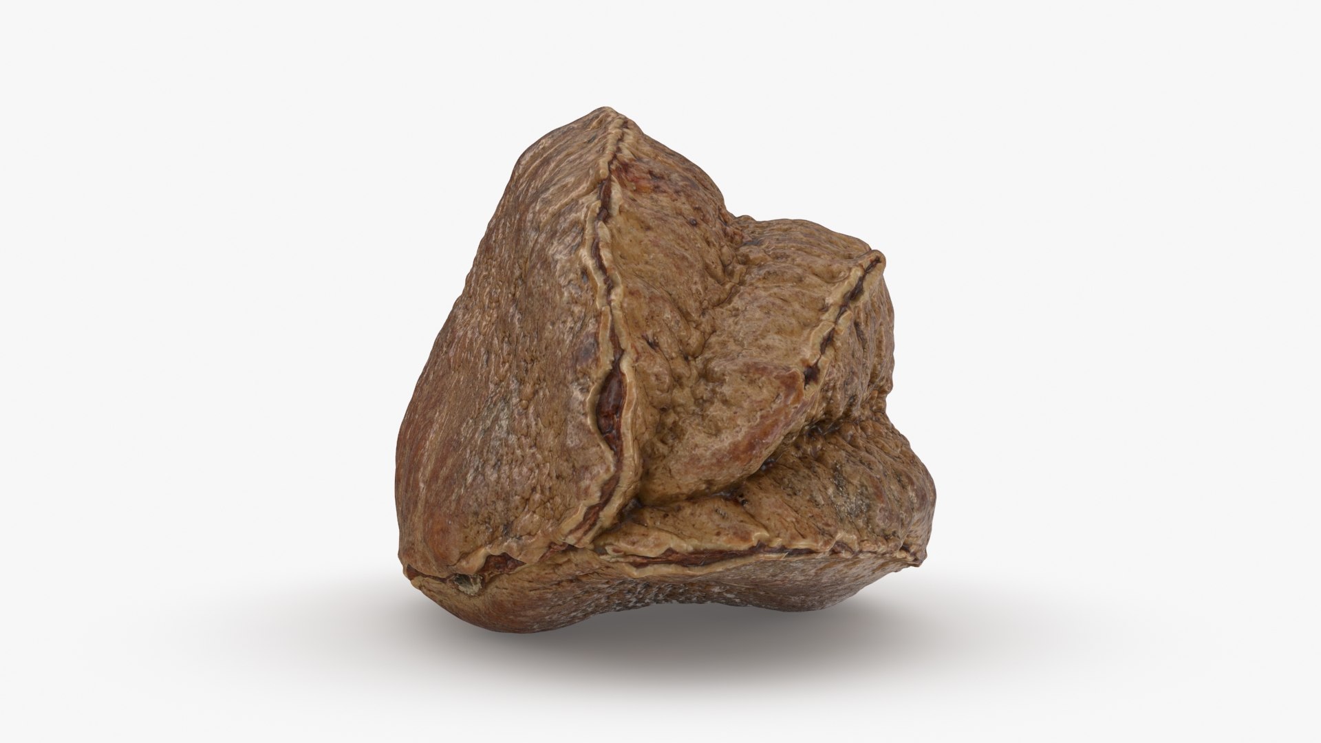Brazil Nut in Shell 01 model https://p.turbosquid.com/ts-thumb/64/MnBO7q/bR/brazilnutshell01_b0016/jpg/1726656945/1920x1080/fit_q87/b4aefb62632d383e41c9e41d0c52c5d58c243aa2/brazilnutshell01_b0016.jpg