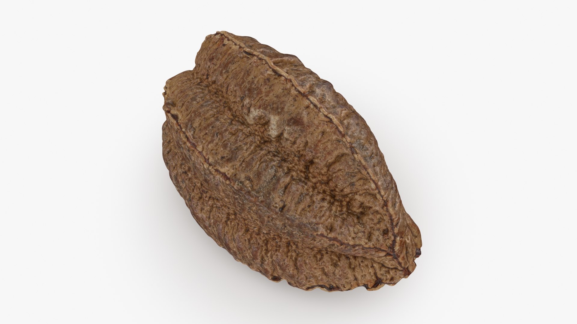 Brazil Nut in Shell 01 model https://p.turbosquid.com/ts-thumb/64/MnBO7q/dC/brazilnutshell01_b0006/jpg/1726656941/1920x1080/fit_q87/09121b27de17ccaadb29dbe8ef7ac810f31d1c9b/brazilnutshell01_b0006.jpg
