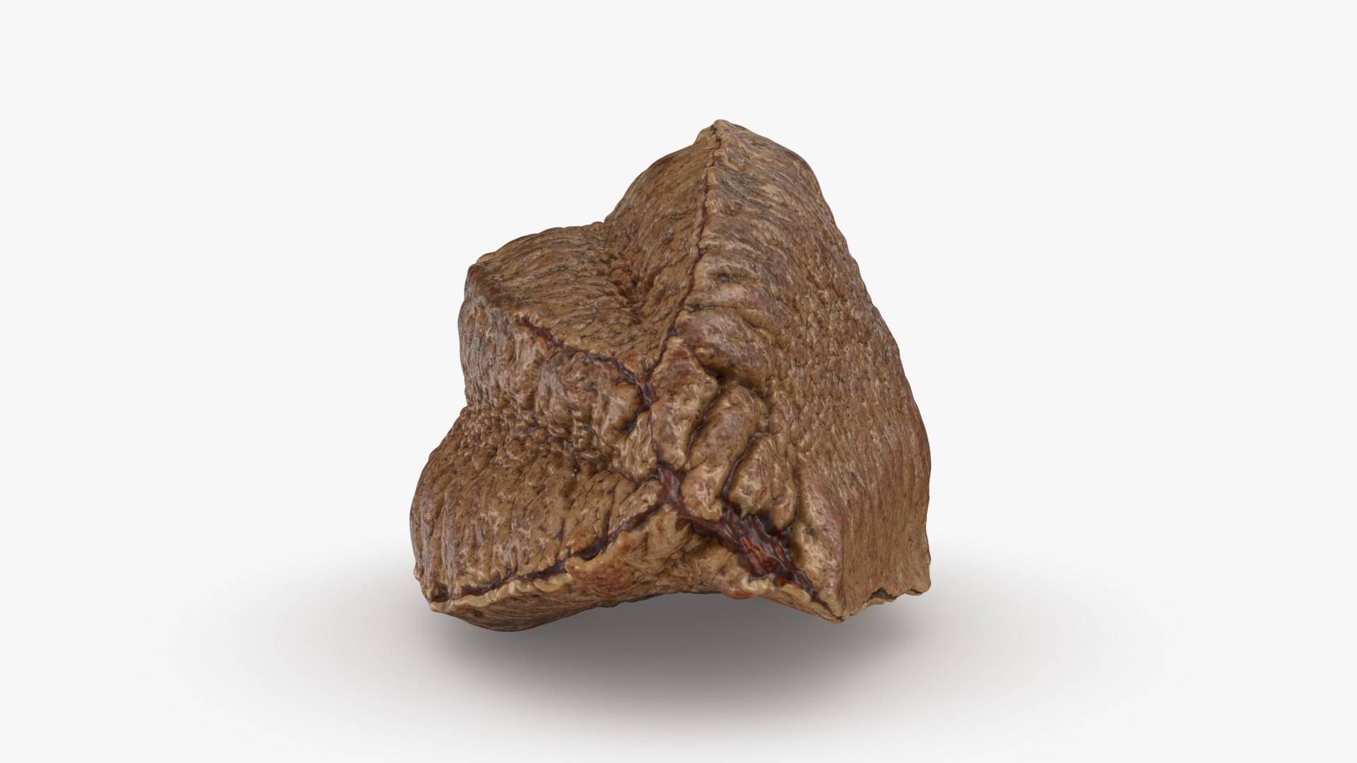 Brazil Nut in Shell 01 model https://p.turbosquid.com/ts-thumb/64/MnBO7q/sl/brazilnutshell01_b0014/jpg/1726656944/1920x1080/fit_q87/f101a414590503aba3fbc3196bc8de734fed8215/brazilnutshell01_b0014.jpg