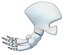 Whale Flipper Shoulder Bones