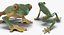 Frogs Rigged Collection for Maya