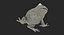 Frogs Rigged Collection for Maya