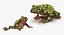 Frogs Rigged Collection for Maya