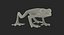 Frogs Rigged Collection for Maya
