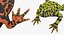 Frogs Rigged Collection for Maya