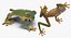 Frogs Rigged Collection for Maya