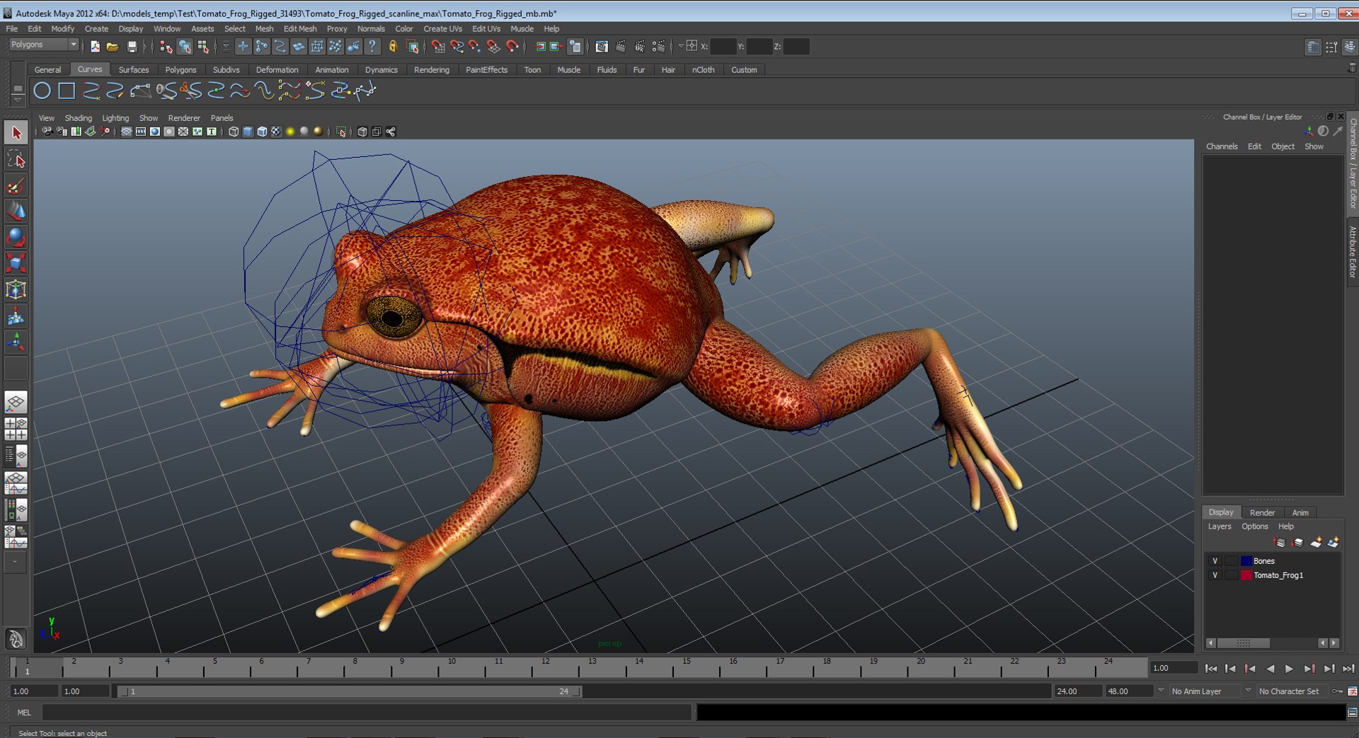 frogs rigged 3D https://p.turbosquid.com/ts-thumb/64/g6OUVs/BaFgwrZK/tomatofrogriggedmaya3dmodel37/jpg/1584001775/1920x1080/fit_q87/8243d7747dca2411aed66ead87a8a776047bbe6f/tomatofrogriggedmaya3dmodel37.jpg
