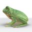 Frogs Rigged Collection for Maya