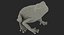 Frogs Rigged Collection for Maya
