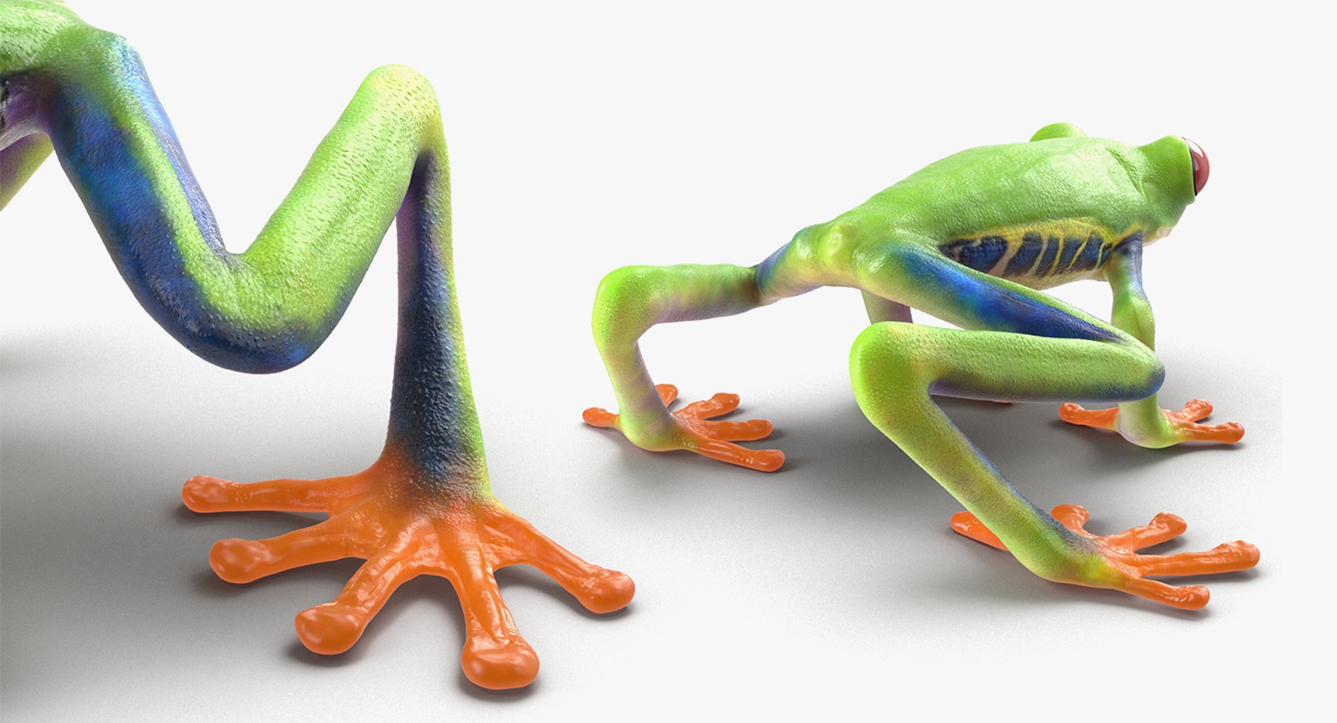 frogs rigged 3D https://p.turbosquid.com/ts-thumb/64/g6OUVs/KedqCSGg/riggedfrogscollection3dmodel034/jpg/1512536240/1920x1080/fit_q87/4ad2c067431b1aee47612b48d3bfdf085591b275/riggedfrogscollection3dmodel034.jpg