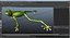 Frogs Rigged Collection for Maya