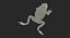 Frogs Rigged Collection for Maya