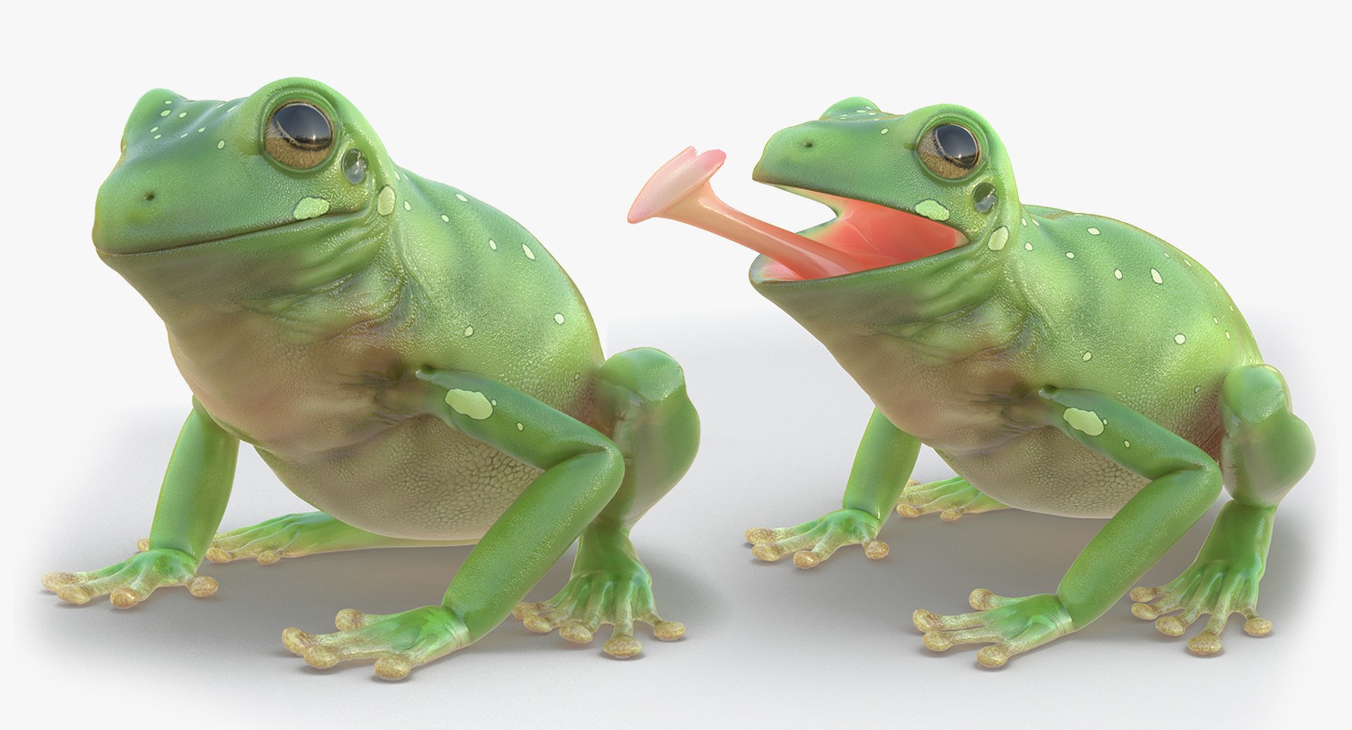 frogs rigged 3D https://p.turbosquid.com/ts-thumb/64/g6OUVs/Qc9Pf8tk/riggedfrogscollection3dmodel038/jpg/1512536254/1920x1080/fit_q87/751c17b52b0d91d66056f37cb30c02cc13379ebd/riggedfrogscollection3dmodel038.jpg