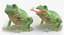 Frogs Rigged Collection for Maya