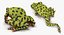 Frogs Rigged Collection for Maya