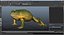 Frogs Rigged Collection for Maya