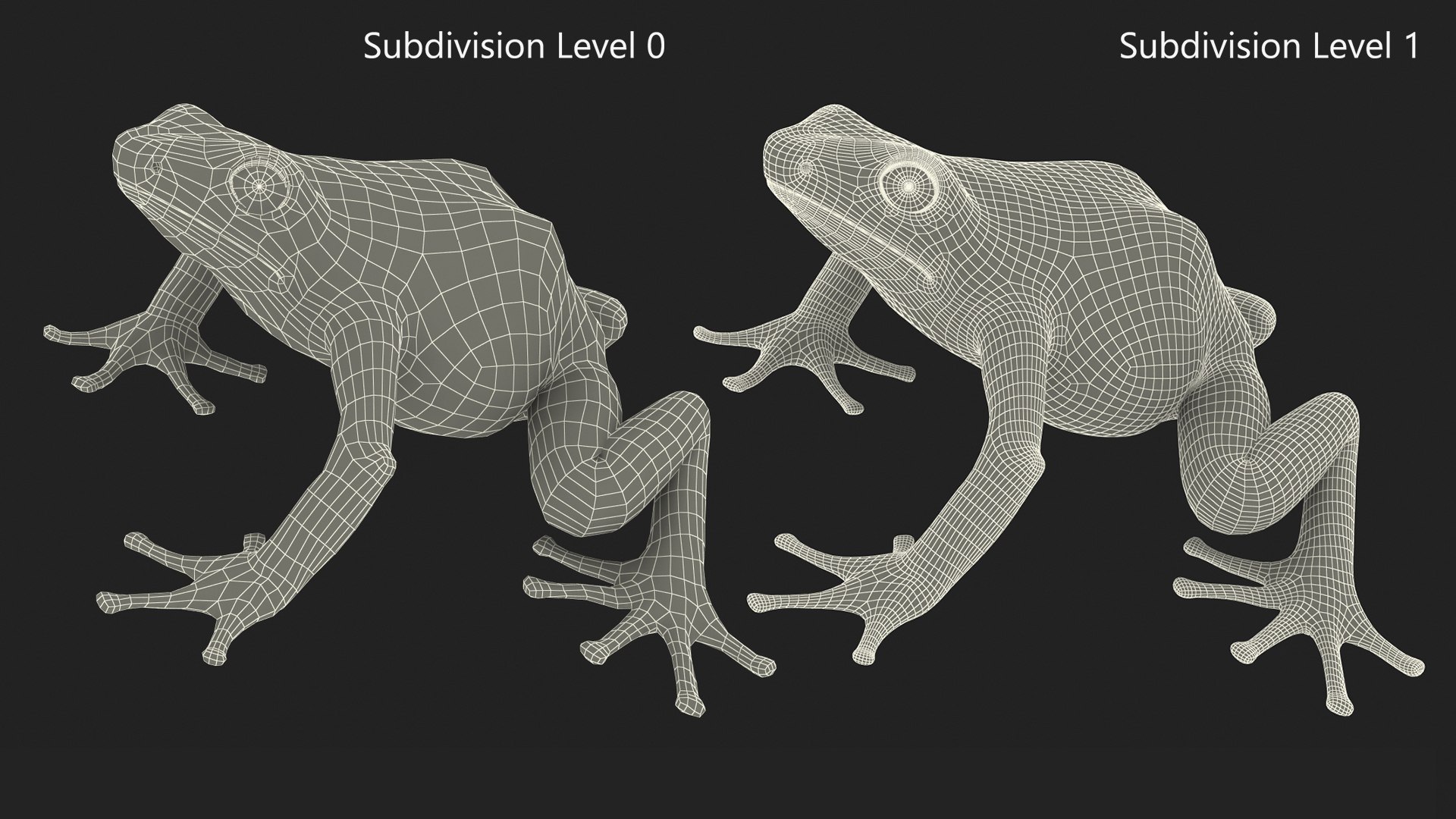 frogs rigged 3D https://p.turbosquid.com/ts-thumb/64/g6OUVs/hf/realistic_poison_dart_frog_rigged_021/jpg/1779947294/1920x1080/fit_q87/9f503bd69777321bb5e737b93fb0394f88ff0a4e/realistic_poison_dart_frog_rigged_021.jpg