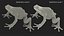 Frogs Rigged Collection for Maya