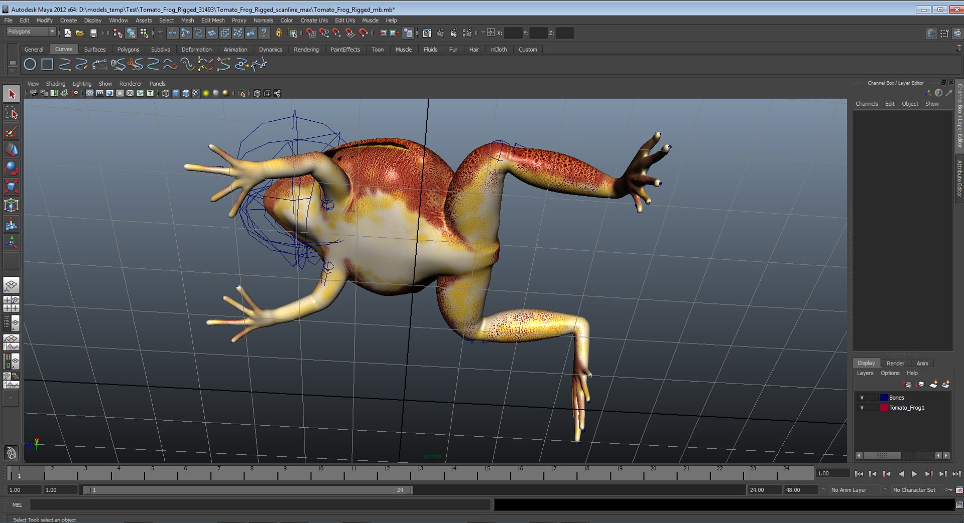 frogs rigged 3D https://p.turbosquid.com/ts-thumb/64/g6OUVs/hlecTS9B/tomatofrogriggedmaya3dmodel38/jpg/1584001775/1920x1080/fit_q87/1e9d675e4343a4fdea7cf3eb28998df5fa7d5a4b/tomatofrogriggedmaya3dmodel38.jpg