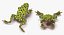 Frogs Rigged Collection for Maya
