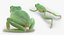 Frogs Rigged Collection for Maya