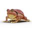 Frogs Rigged Collection for Maya