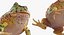 Frogs Rigged Collection for Maya