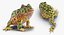 Frogs Rigged Collection for Maya