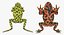 Frogs Rigged Collection for Maya