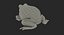 Frogs Rigged Collection for Maya